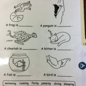 Que font-ils?