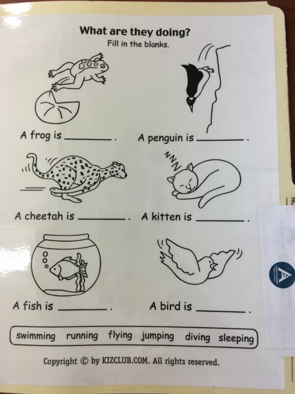 Que font-ils?