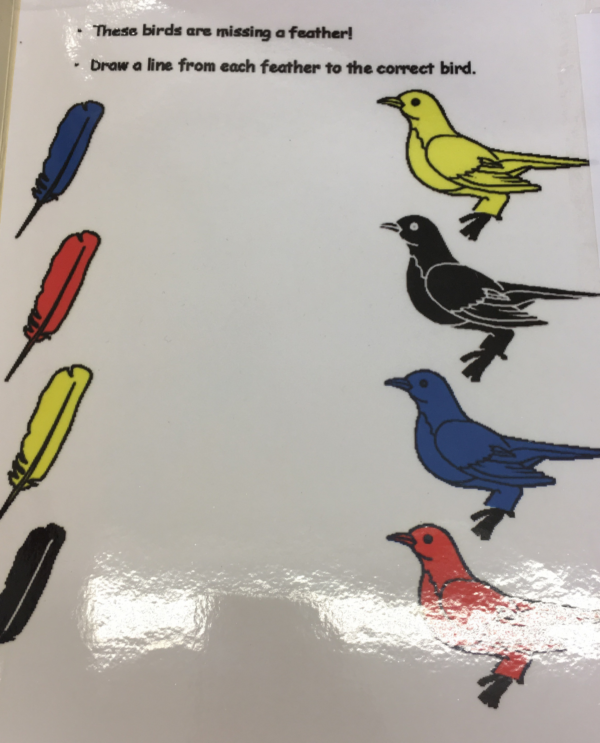 Relie la plume au bon oiseau