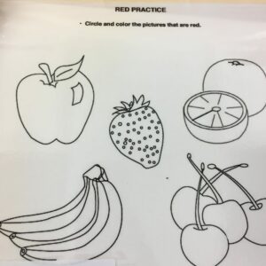 Encercle les fuits de la bonne couleur