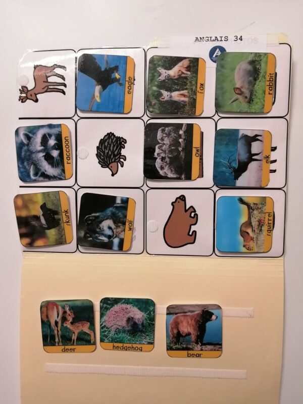 Les animaux sauvages