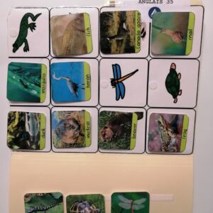 Les reptiles