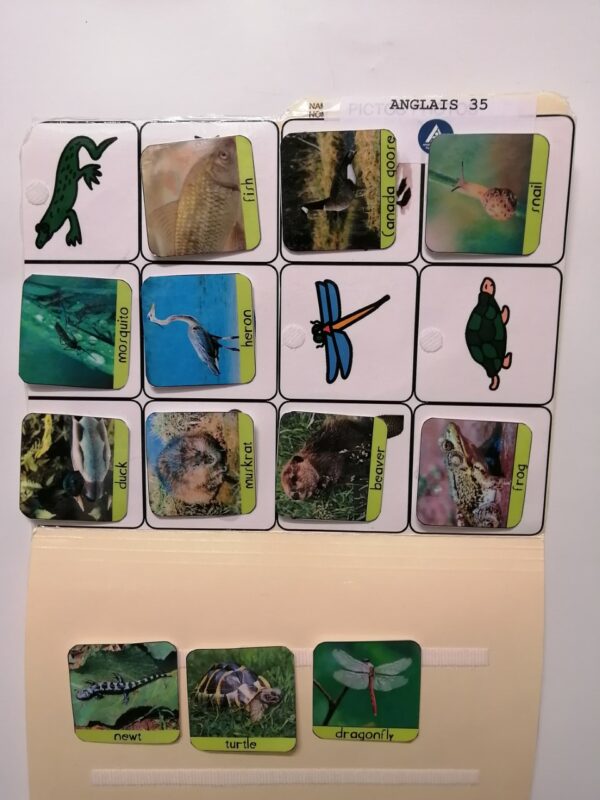 Les reptiles