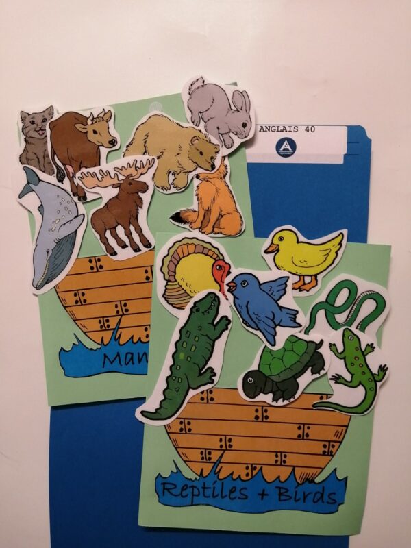 Les familles d'animaux
