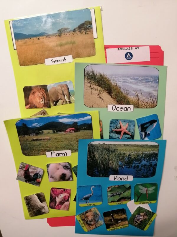 Ou vit cet animal?