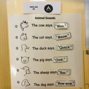 Les sons des animaux