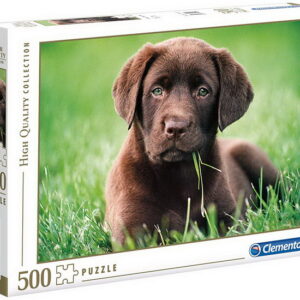 Labrador brun- 500 morceaux