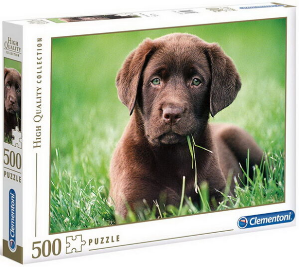 Labrador brun- 500 morceaux