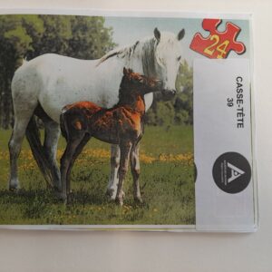 Les chevaux- 24 morceaux