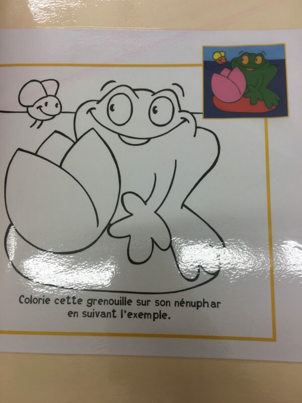 Colorie la grenouille en suivant l'exemple