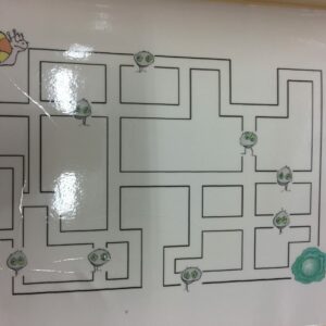 Le labyrinthe de l'escargot