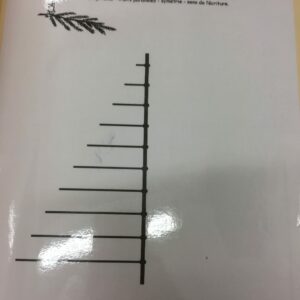 Dessine les branches du sapin