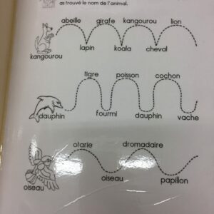 Le saut des animaux