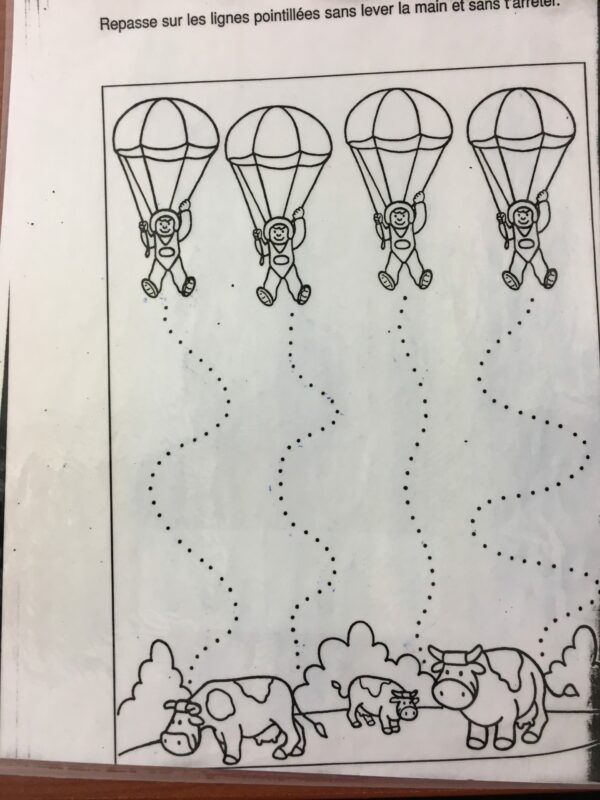 Les sauts en parachutes