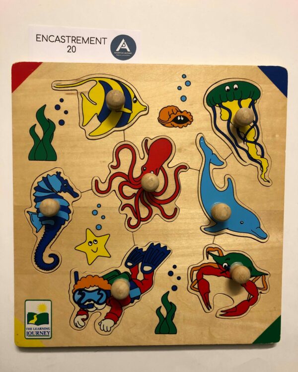 Les animaux marins