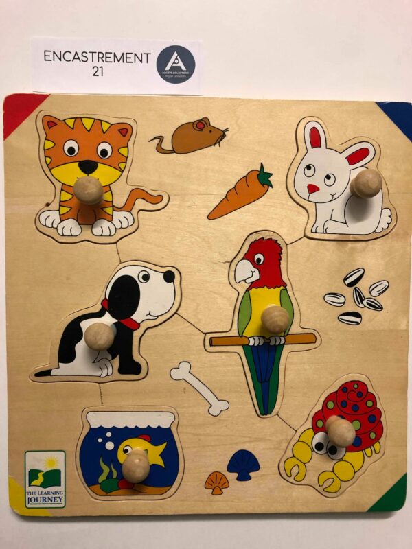 Les animaux de compagnie