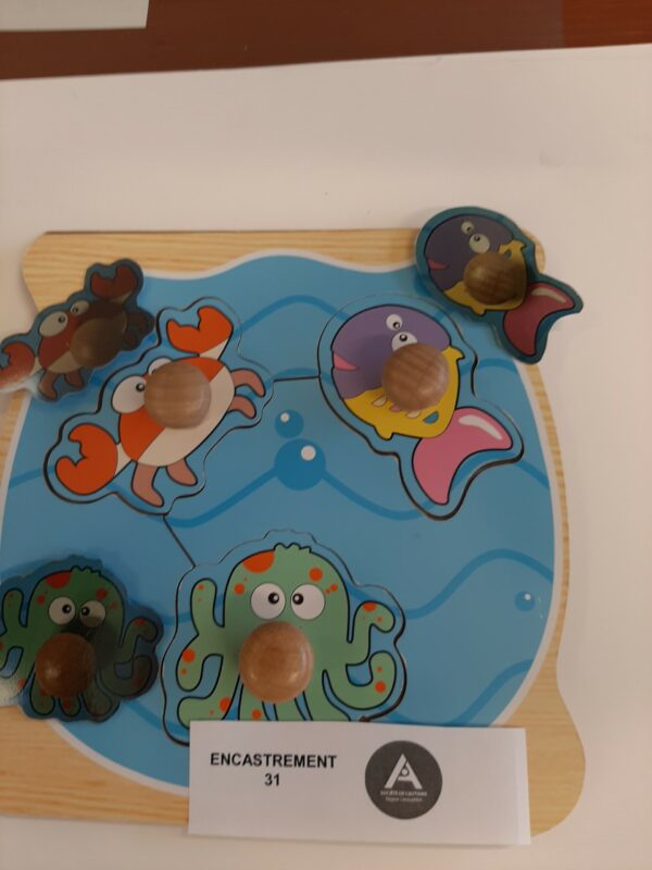 Les animaux marins