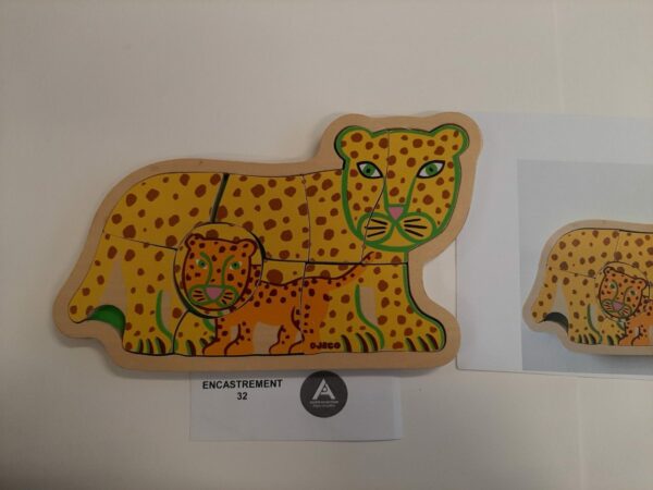 Les tigres