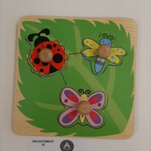 Les insectes