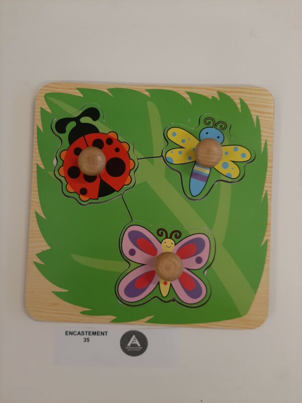 Les insectes