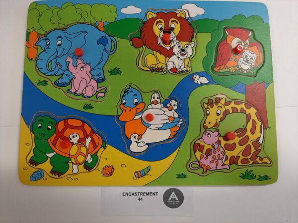 Les familles d'animaux
