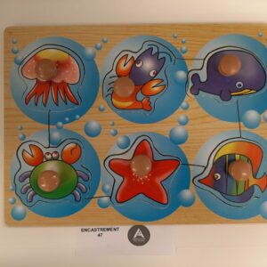 Des animaux marins