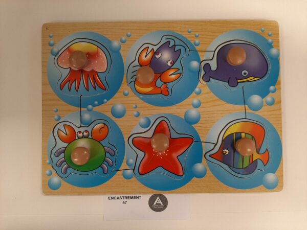 Des animaux marins