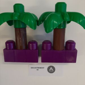 Les cocotiers
