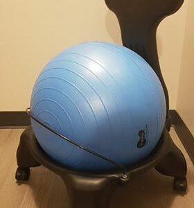 Chaise ballon adulte