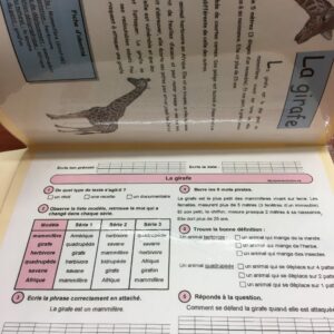 Questions sur une lecture