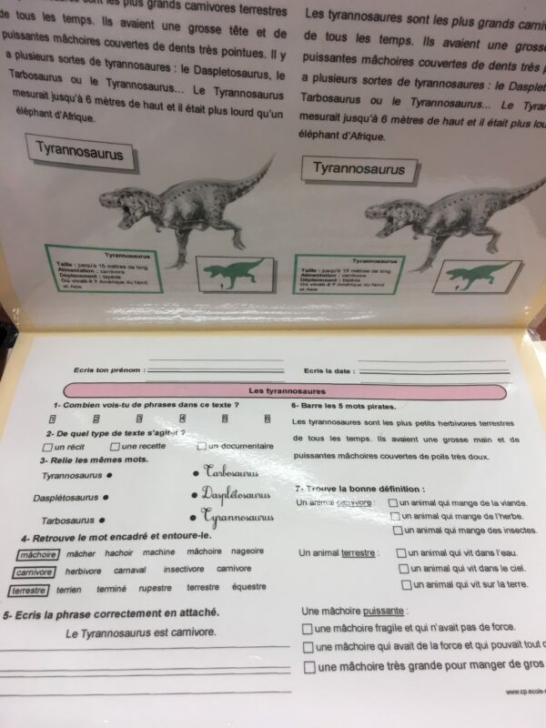 Questions sur les dinosaures