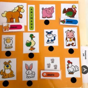 Identifie les animaux