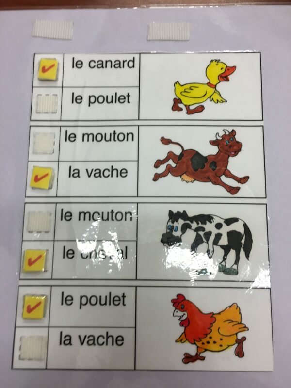 Quel est cet animal?