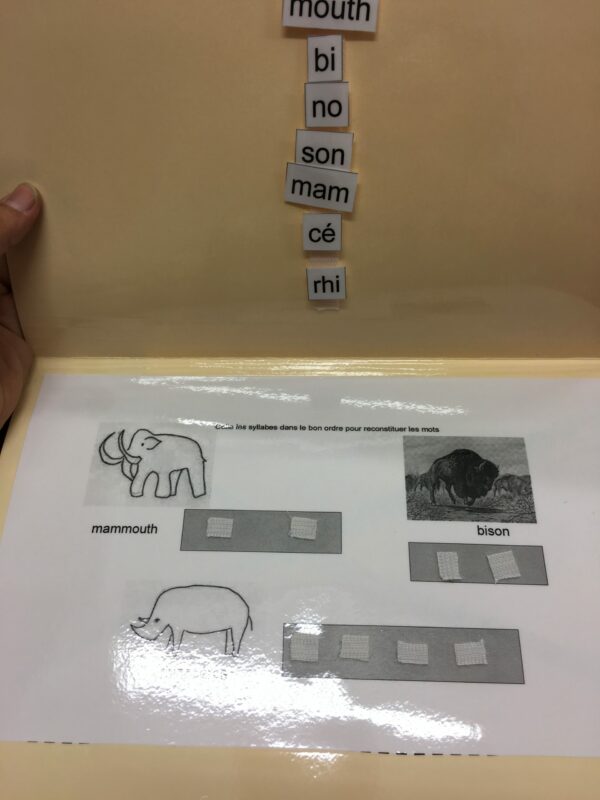 Colle les syllabes dans le bon ordre