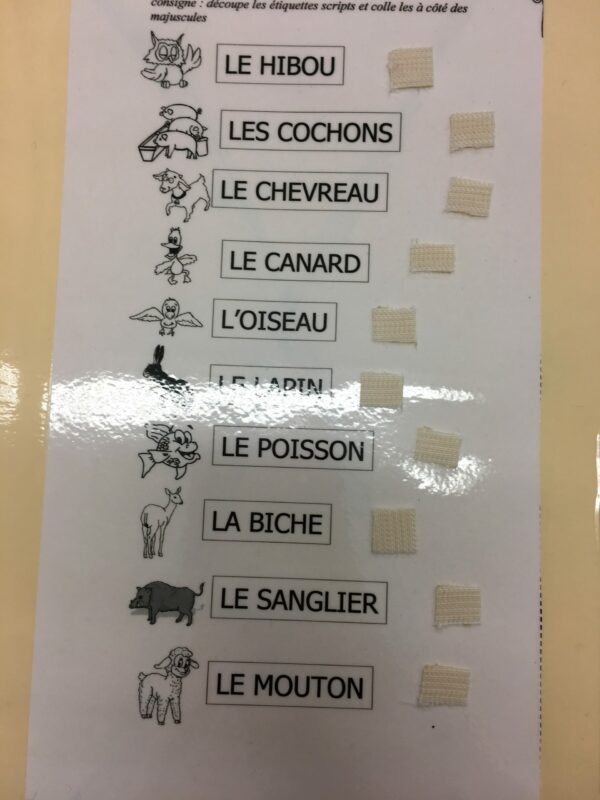 Trouve les mots identiques