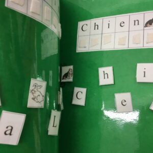 Place les lettres