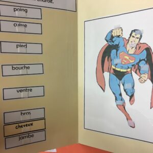 Les parties du corps- Super Man