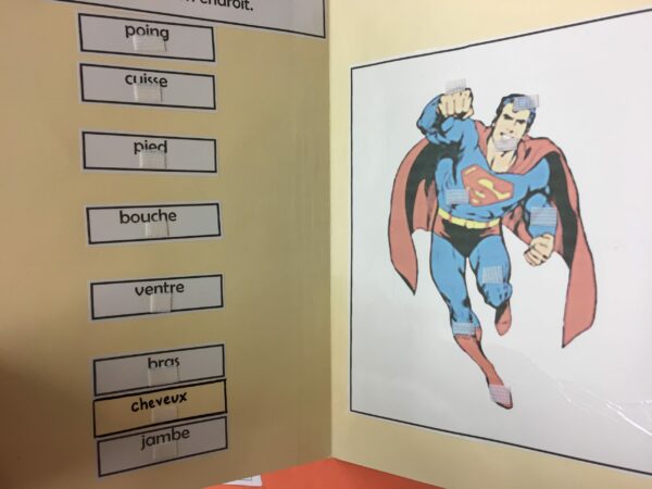 Les parties du corps- Super Man