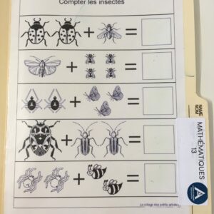 Compte les insectes
