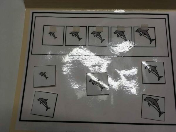 La suite logique des dauphins