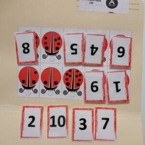 Compte les tâches de la coccinelle
