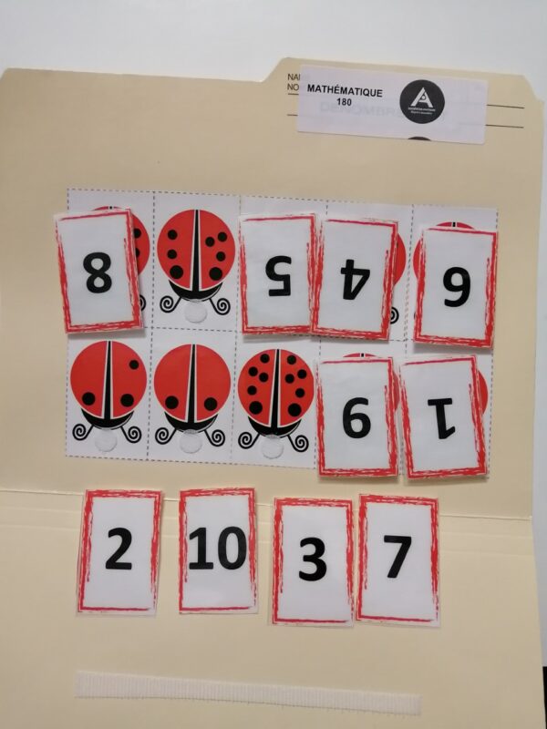Compte les tâches de la coccinelle