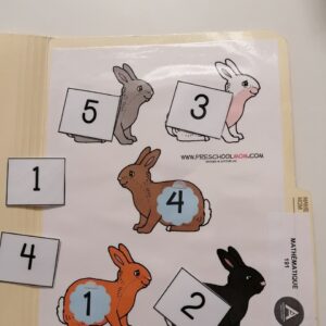 Compte les lapins