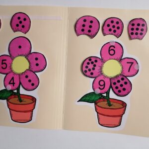 Les pétales de fleur