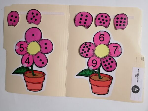 Les pétales de fleur