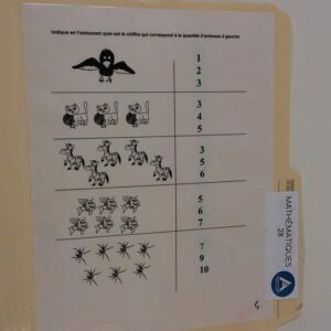 Indique le chiffre qui correspond aux animaux
