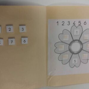 Les pétales de fleur