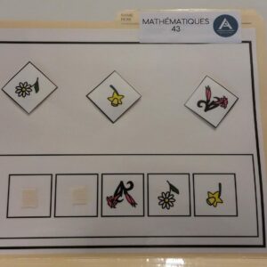 La suite logique des fleurs