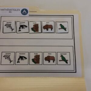 La suite des animaux