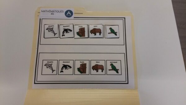 La suite des animaux